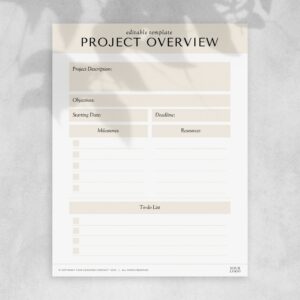 Project Overview